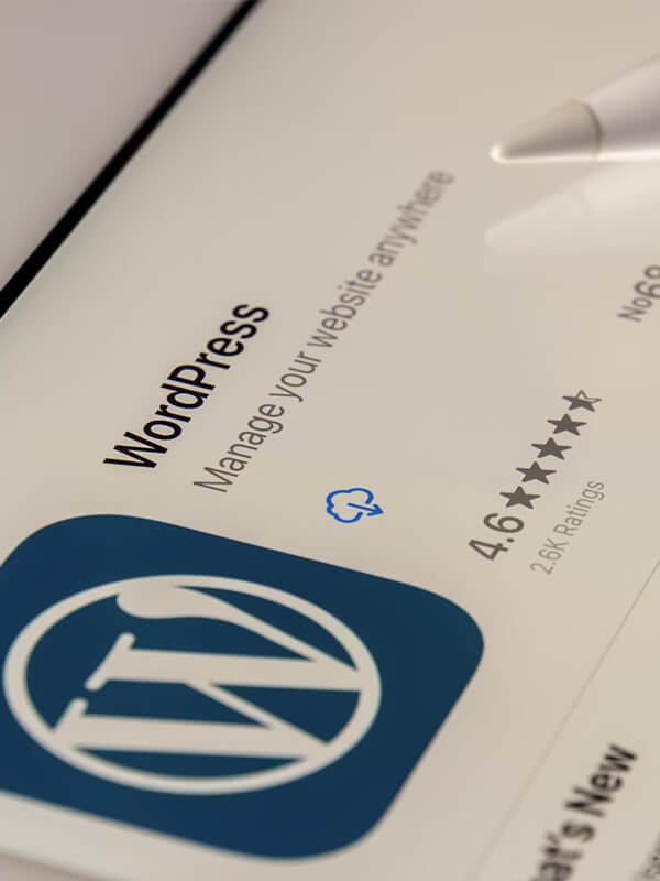 WordPress Development